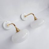 Speckled glass swan neck wall lights