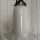Tulip and laton wall lamp