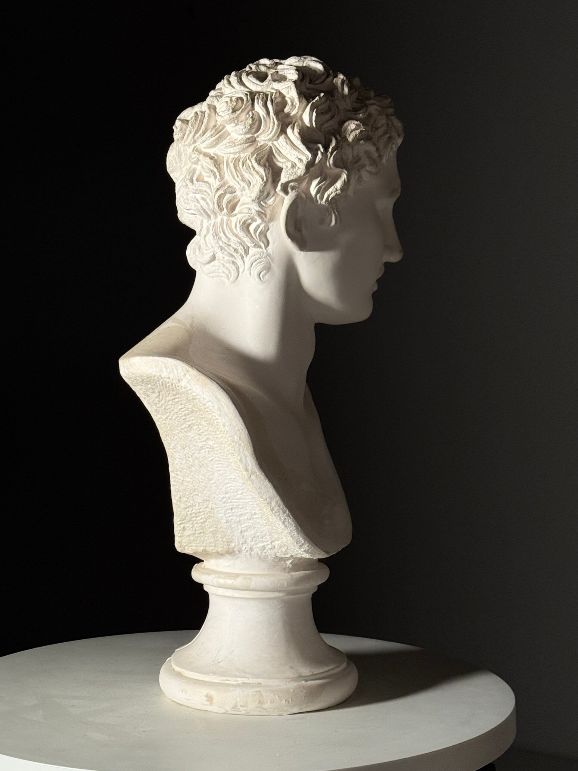 Bust of Meleager plaster classic