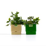Pair of Modular Indoor Planters 'Smeralda' by Programma Vastill, 1970s
