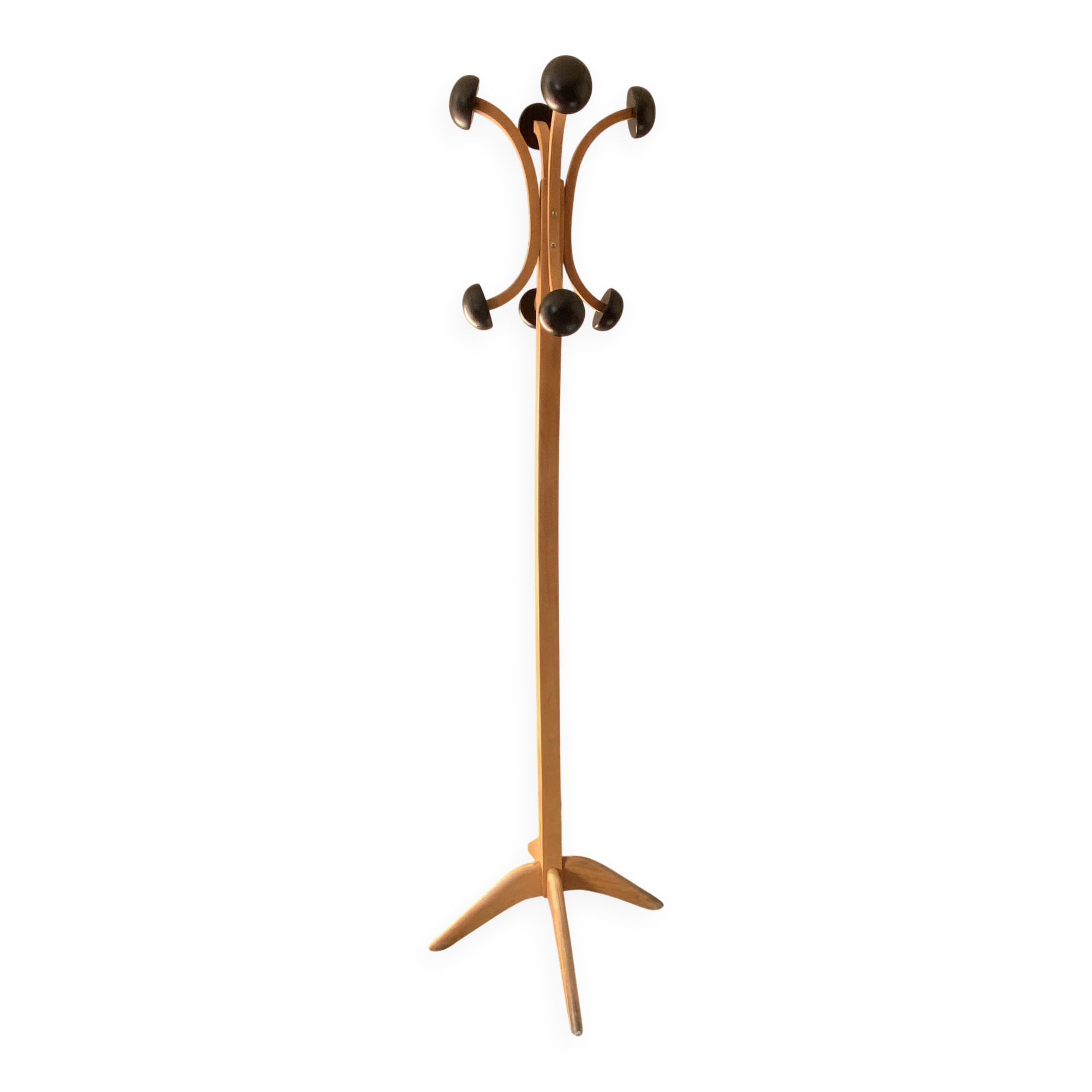 Stella coat rack in solid beech wood, vintage 1950s.
