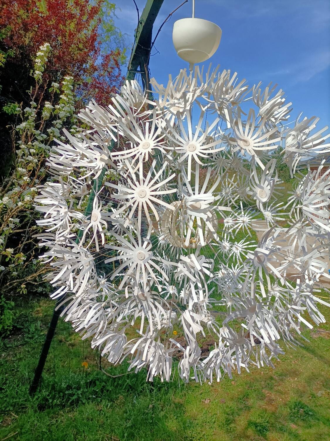 Dandelion pendant light