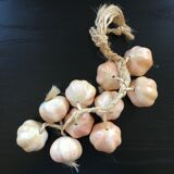Bunch of garlic in slip