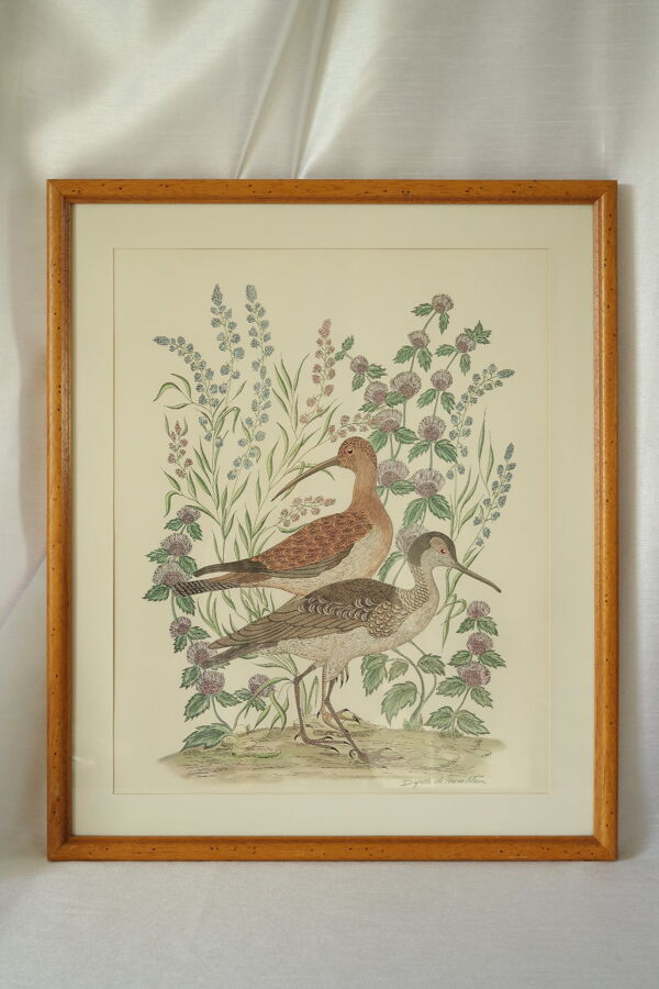 Tableau vintage aquarelle canards de terronblan monbaly dayelle