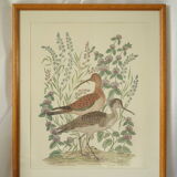 Tableau vintage aquarelle ducks of terronblan monbaly dayelle