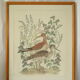Tableau vintage aquarelle canards de terronblan monbaly dayelle