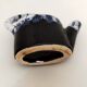 picnic blue ceramic watering can