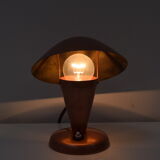 Bauhaus adjustable table lamp,1930