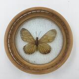 Wicker and butterflies coasters
