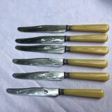 Set of 6 knives in their box