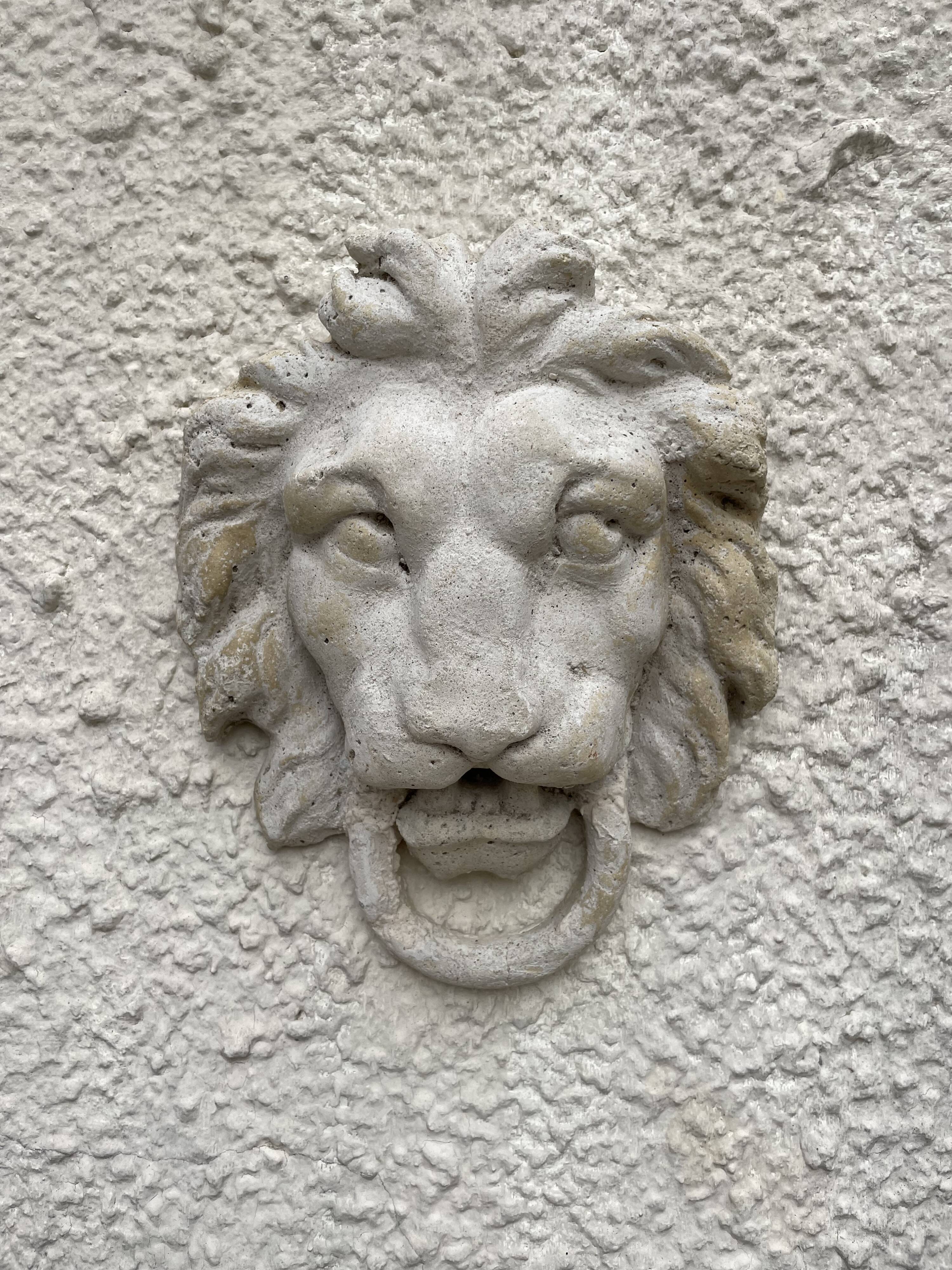 Lion's head