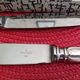 Set of 12 small knives in silver metal and stainless steel from the Ravinet d'Enfer Paris brand