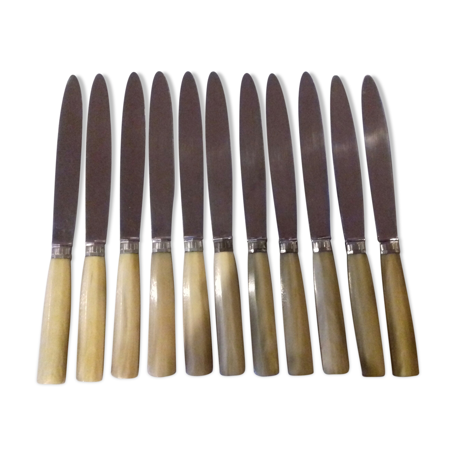 12 Knives in their box