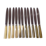 12 Knives in their box