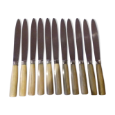 12 Knives in their box