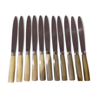 12 Knives in their box