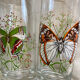 Vintage butterfly orangeade glasses