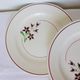 4 vintage flat plates from the Salins factory 210663