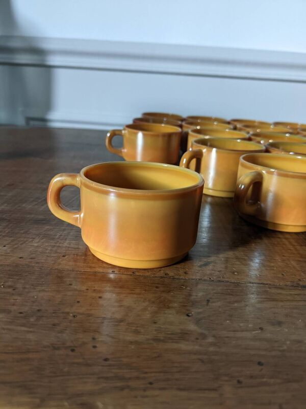 Ensemble de 22 tasses à café Arcopal