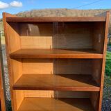 Pair of vintage glass shelves libraries