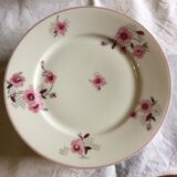 22 flat plates Limoges porcelain, flowers