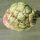 Pair of salt and pepper shakers in earthenware, artichokes