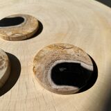 Set of 3 fossilized wooden coasters (clear)