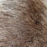 Reindeer skin rug