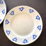 Set of eight dessert plates – blue cherry patterns – stamped