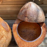 Pair of coconut ice buckets