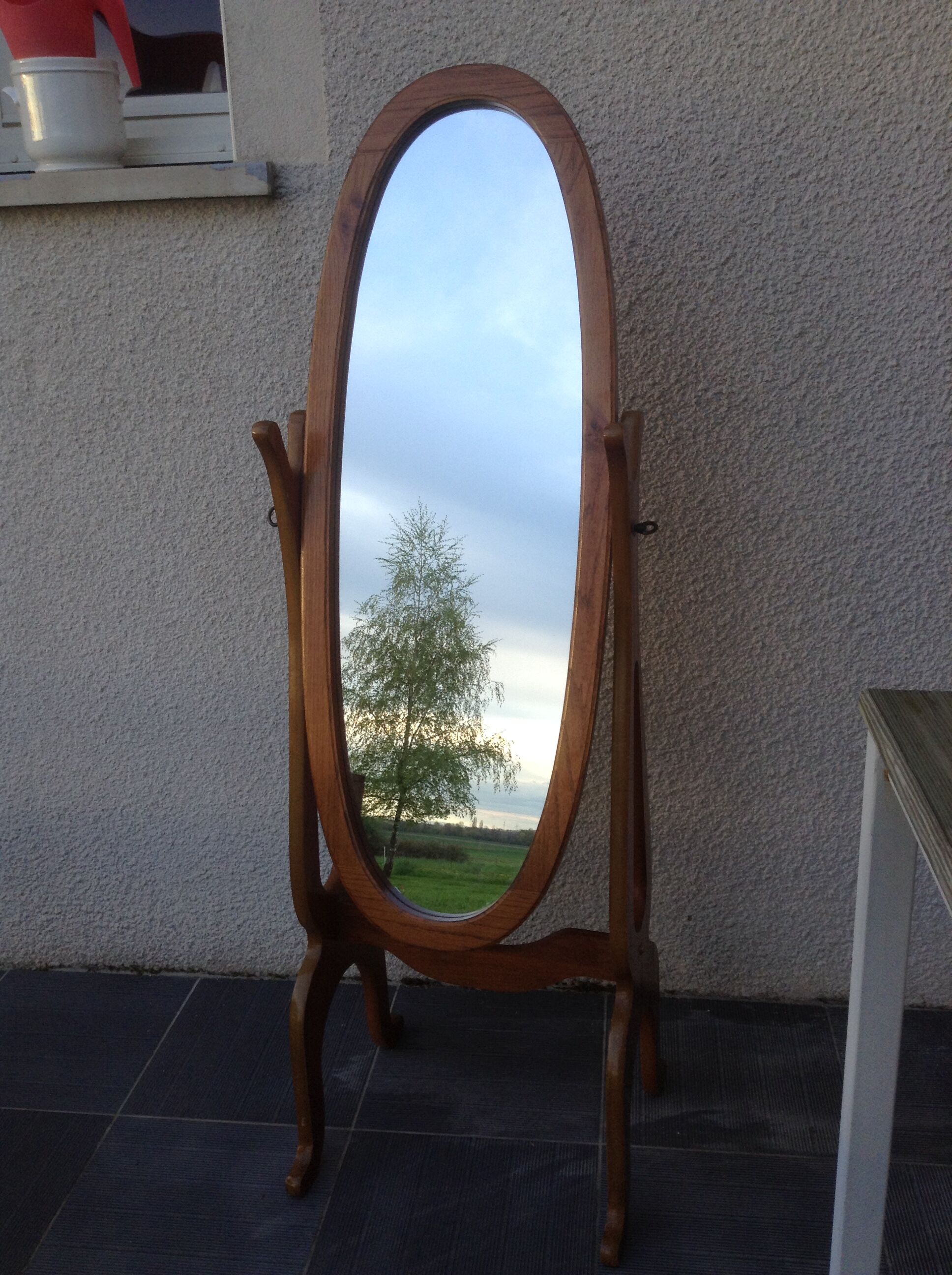 Mirror psyche 117x38cm