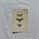 Botanical Plate 1800 Old naturalist engraving 19th century double-sided