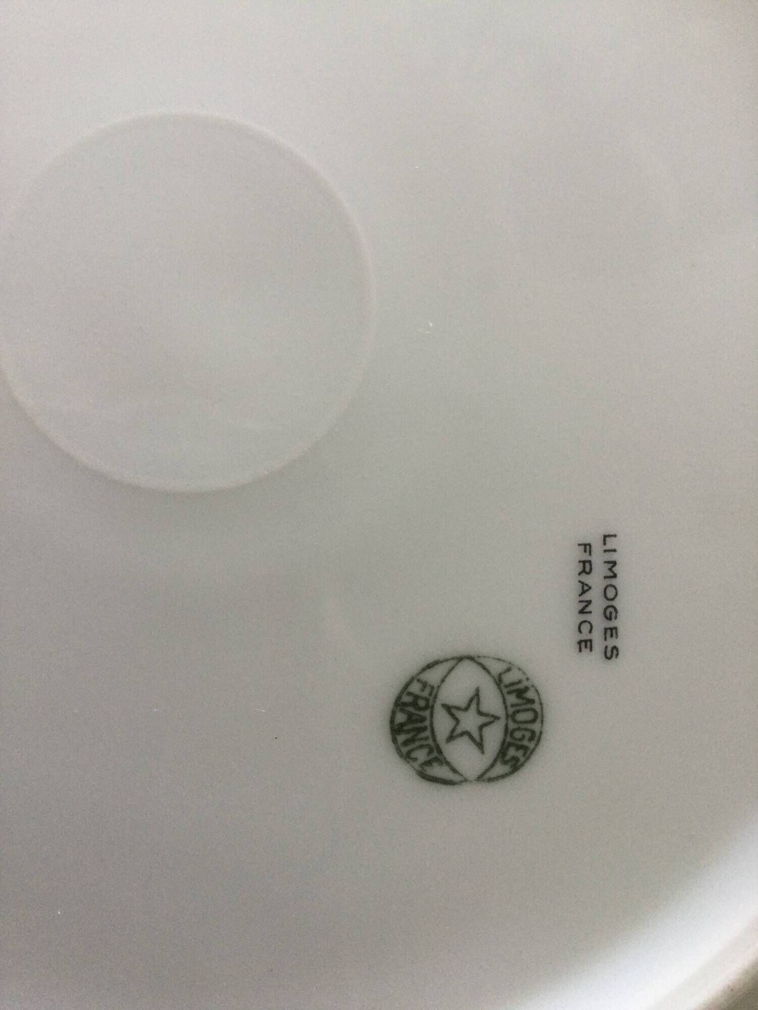 Set of 13 antique Limoges porcelain plates