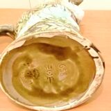 Pitcher in slurry of the gallic rooster