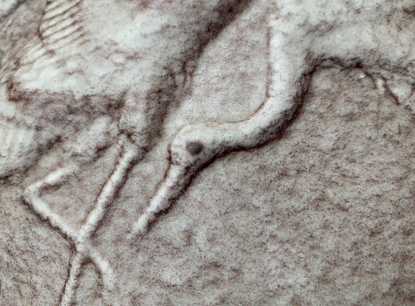 Large vase in German pottery from the mid-century with a crane ornament from Cortendorf.