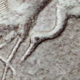 Large vase in German pottery from the mid-century with a crane ornament from Cortendorf.