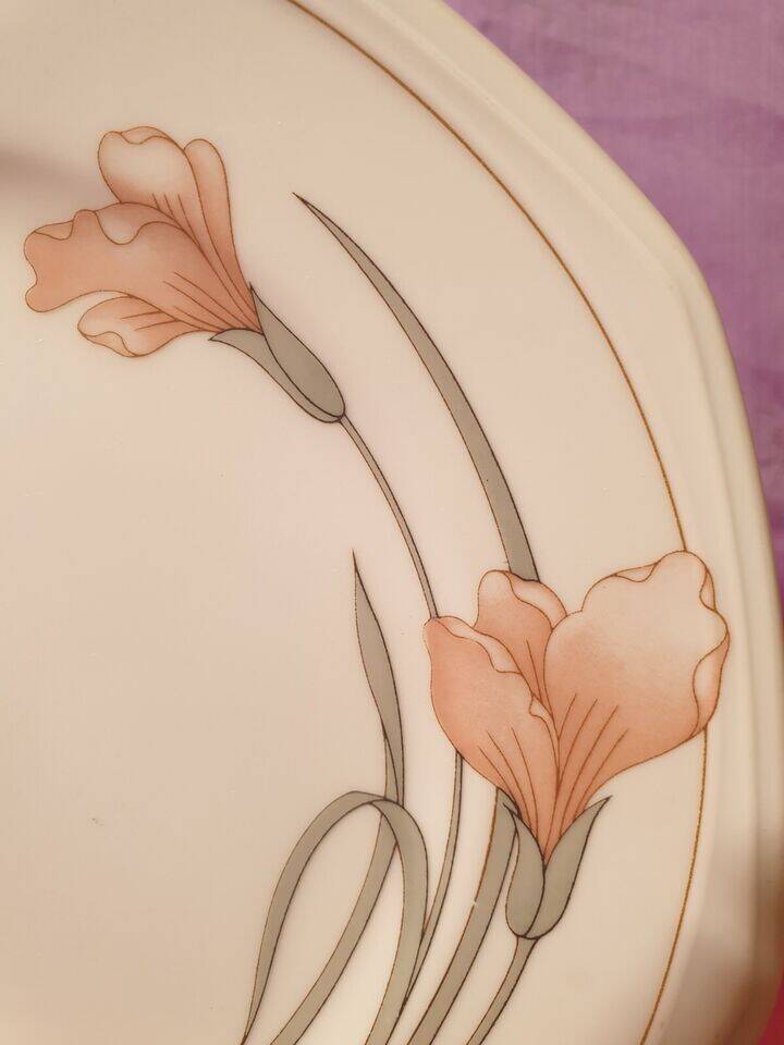 Series of 6 dessert plates Schonwald Germany Art Nouveau decor