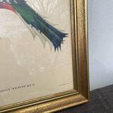 Ornithological engraving golden frame bird
