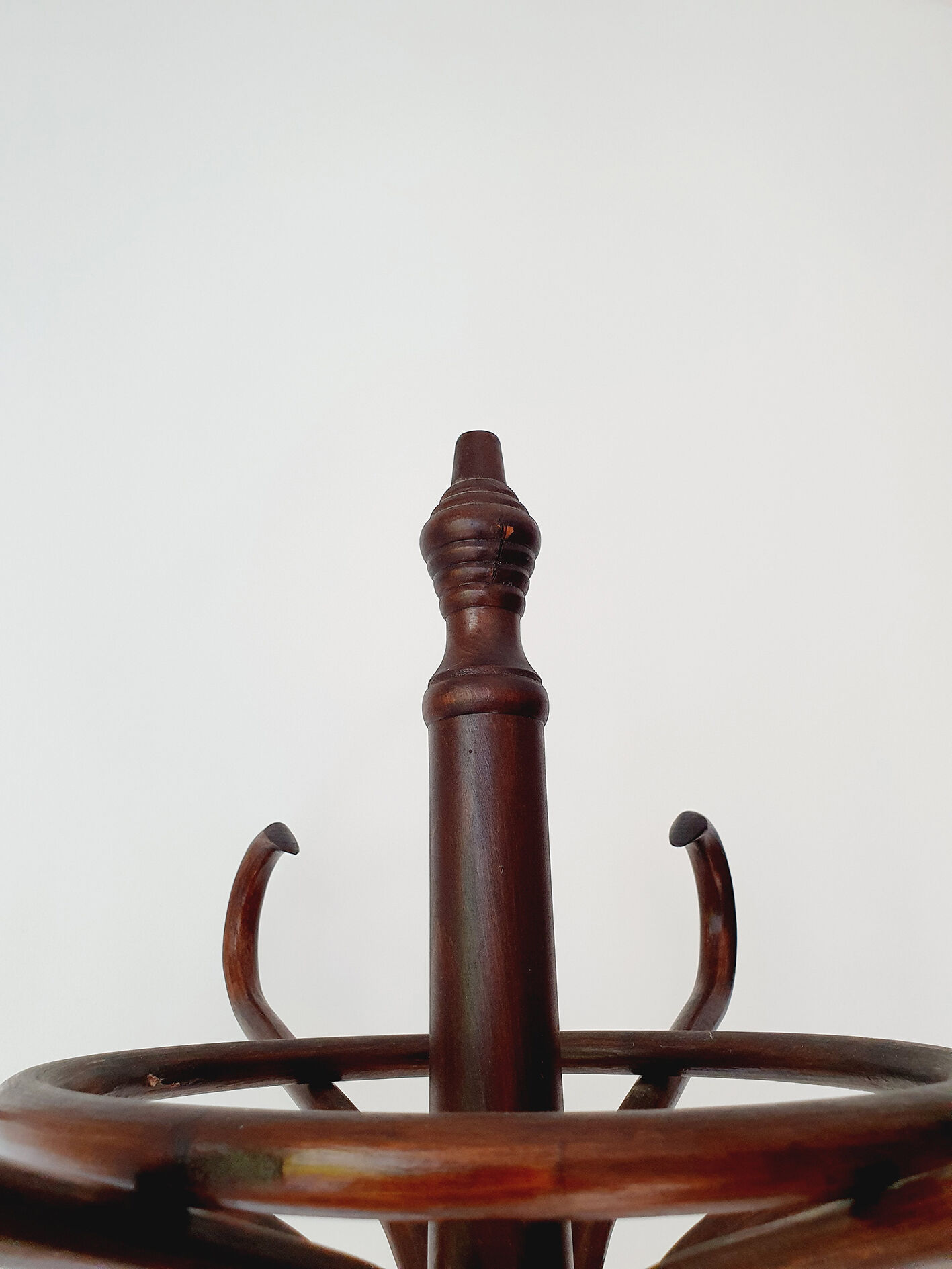 Parrot coat rack in curved wood