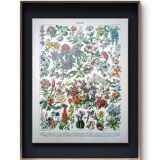 Printed in 1905, the flowers of trees and shrubs