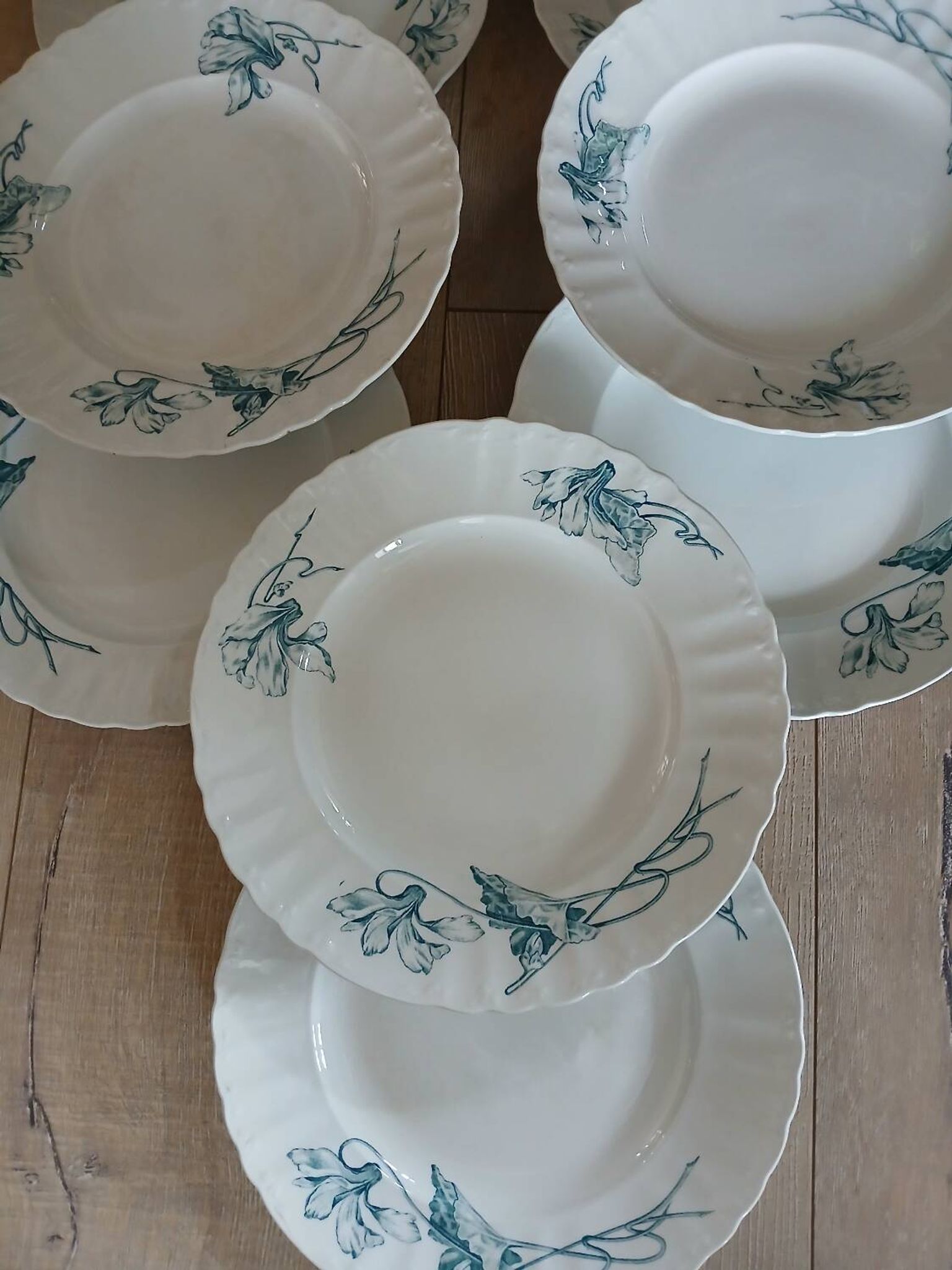12 assiettes plates anciennes en Terre de fer 