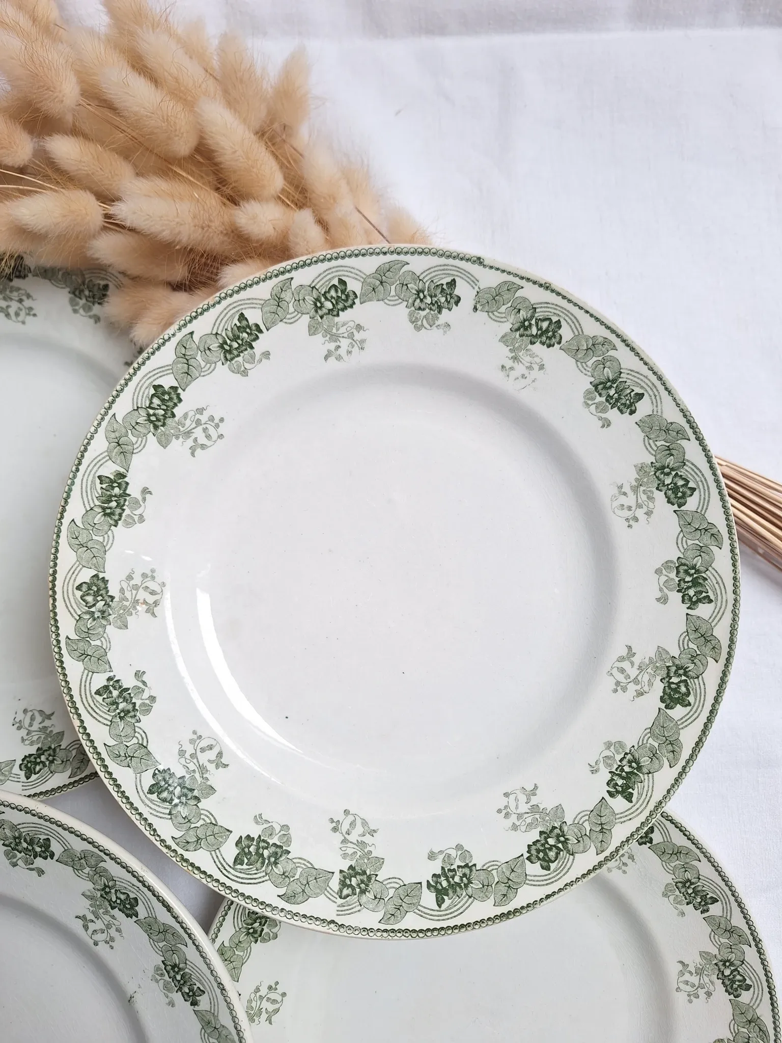 Assiettes plates vertes Moulin des Loups modèle Violetta