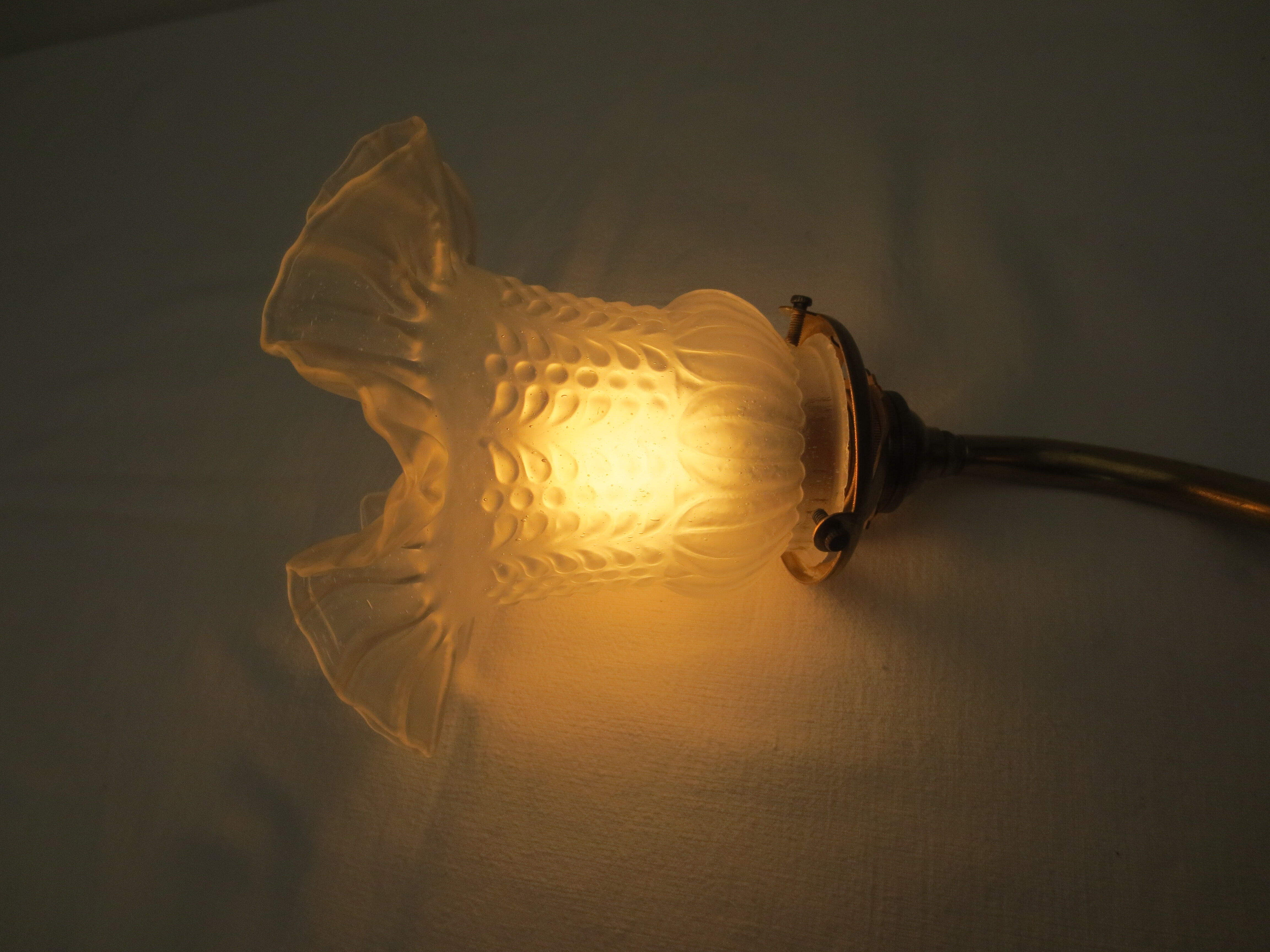 Old gooseneck wall lamp and frosted white glass tulip