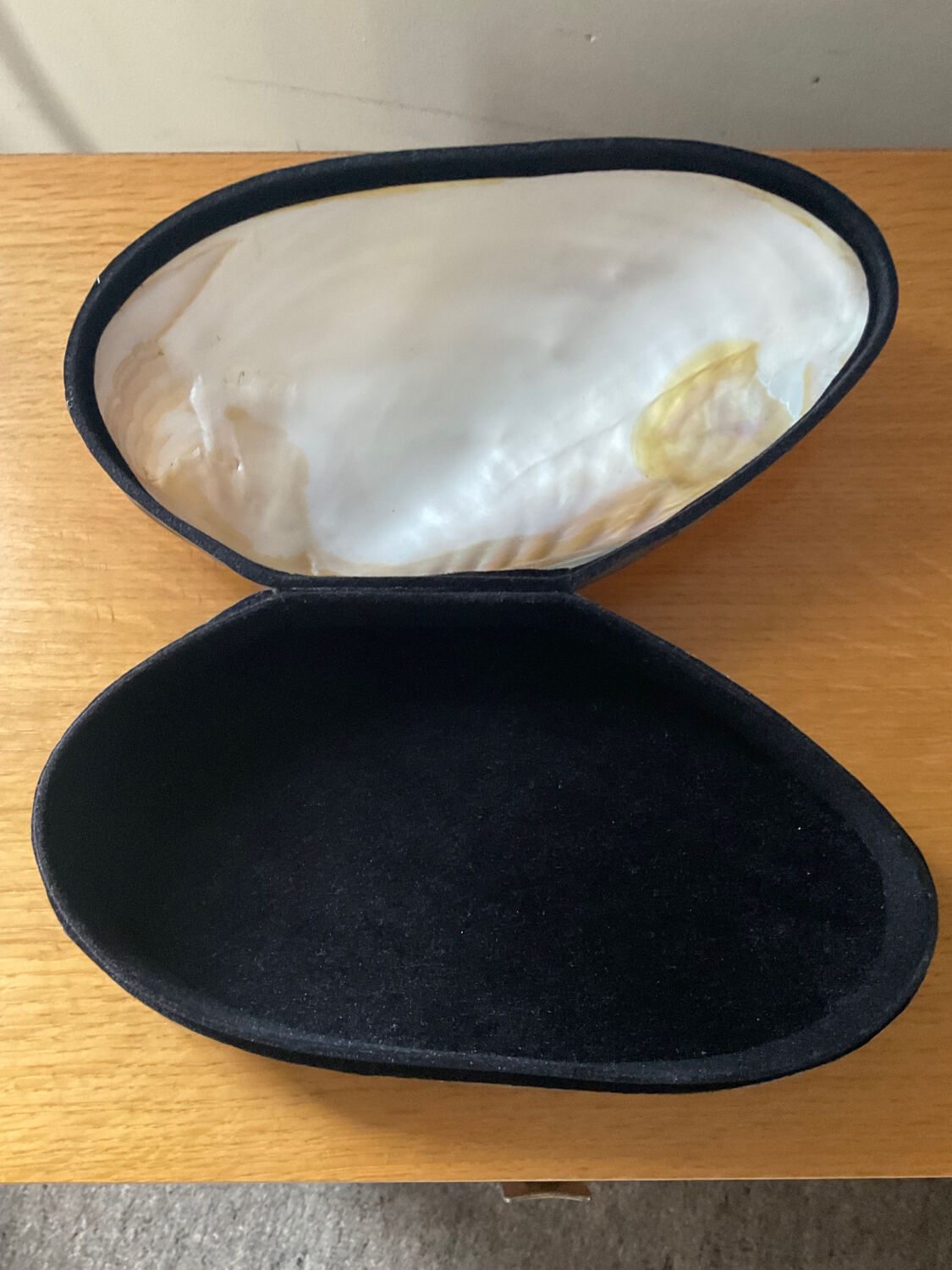 Empty pocket vintage shell mother-of-pearl 70s