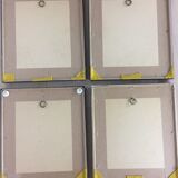 Lot of 4 framed botanical posters