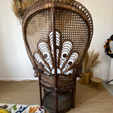 Emmanuelle peacock armchairs