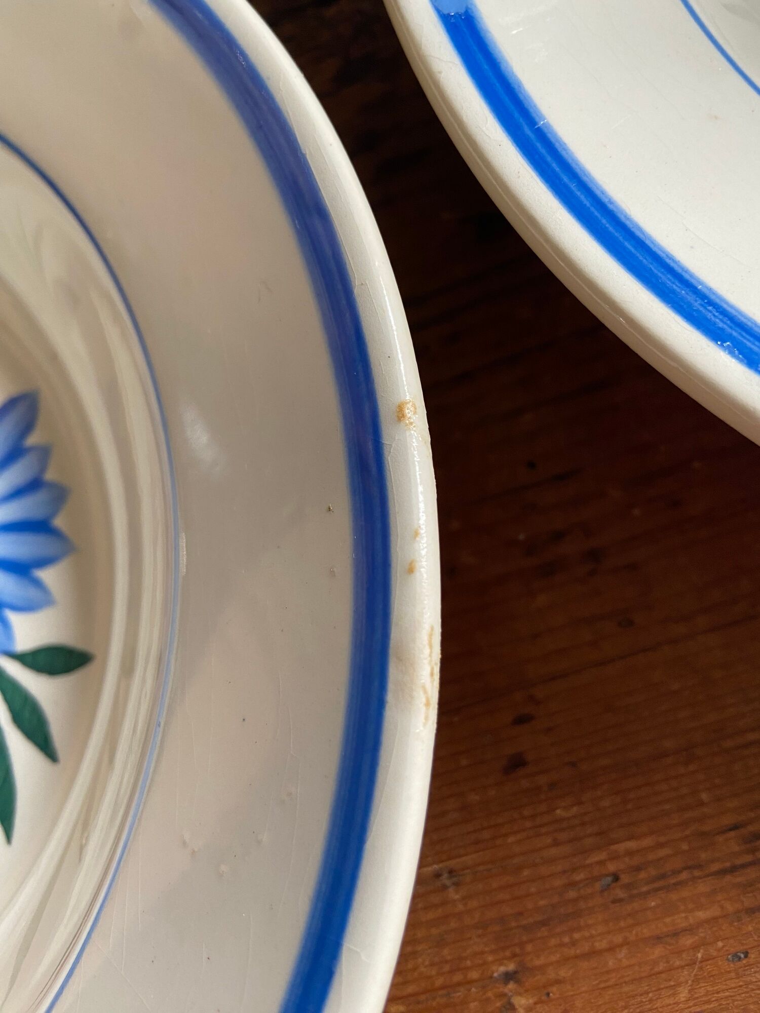 Iron earth plates Blue and pink floral pattern 10 pieces