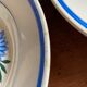 Iron earth plates Blue and pink floral pattern 10 pieces