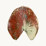 A ceramic lamp in the shape of a leaf.