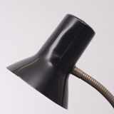 Small Hala Zeist Desk Lamp Holland, 1950s